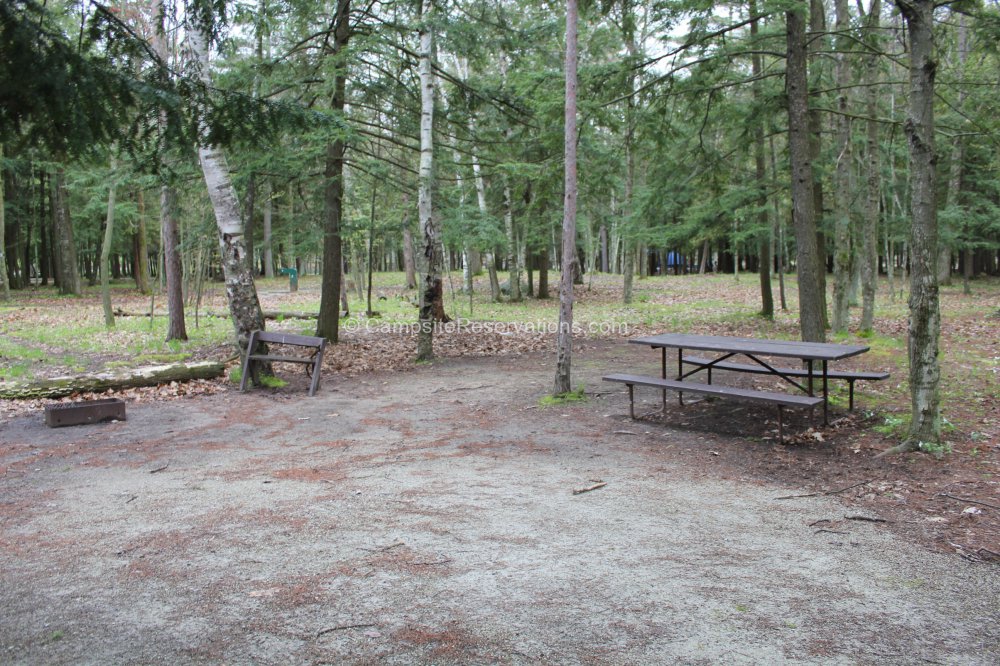 Photo Of Campsite 085 In Daisy Field North Campground At Potawatomi ...